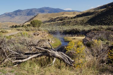 Kaplıcalar yıkanan yellowstone Parkı için 