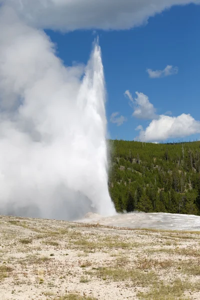 Old Faithful Geyser Erupting on Nice Summer Day — Stock Photo, Image