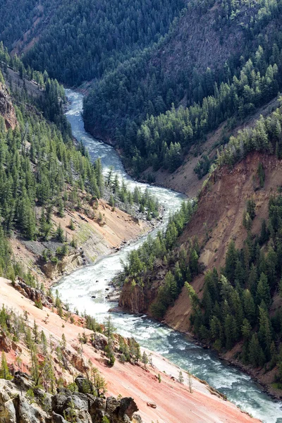 Rio Yellowstone sinuosa através de seu cânion em um final de verão da — Fotografia de Stock