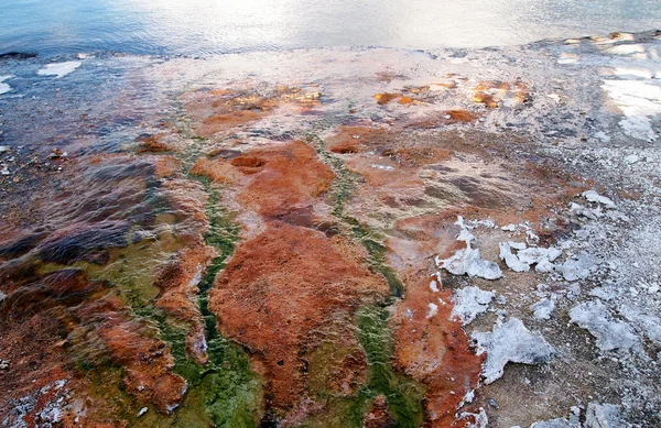 Source chaude qui coule dans le lac Yellowstone — Photo