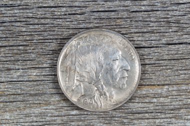 ilk yıl orijinal Amerika Birleşik Devletleri, nikel rustik wo üzerinde bufalo