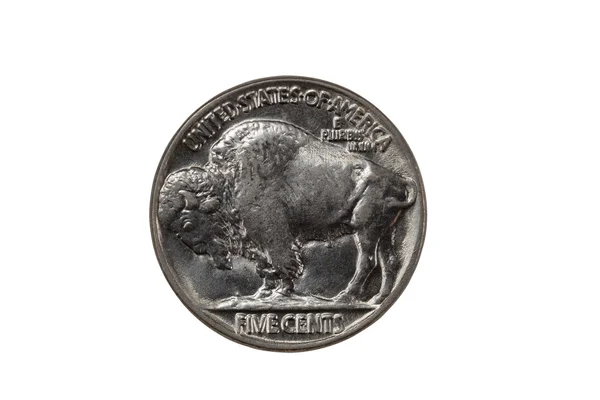 Pristine Buffalo Nickel sobre fundo branco — Fotografia de Stock