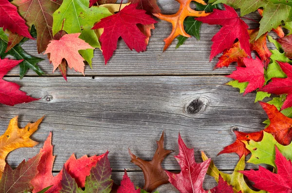 Frontière des feuilles d'automne sur bois vieilli — Photo