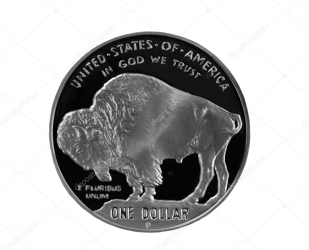 Buffalo Silver Coin 