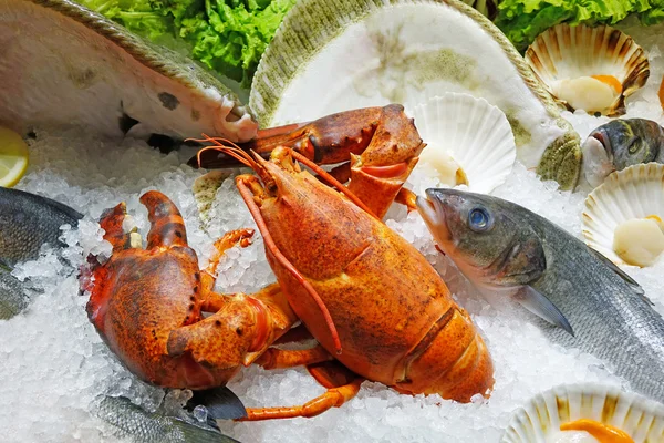 Свежие морепродукты на льду — стоковое фото