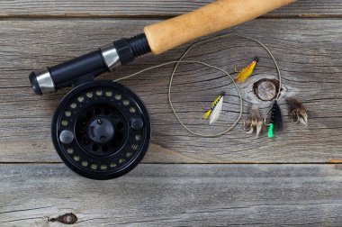 Reel çeşitli sinek sinek 