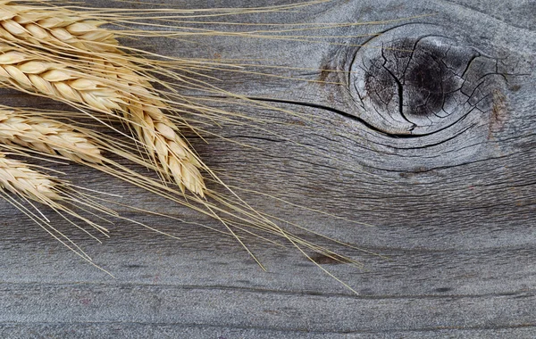 Dry golden wheat stalks on rustic wood — Stock Photo, Image