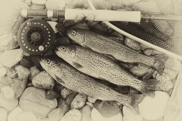 Παραδοσιακή Vintage πέστροφα αλιείας — Φωτογραφία Αρχείου