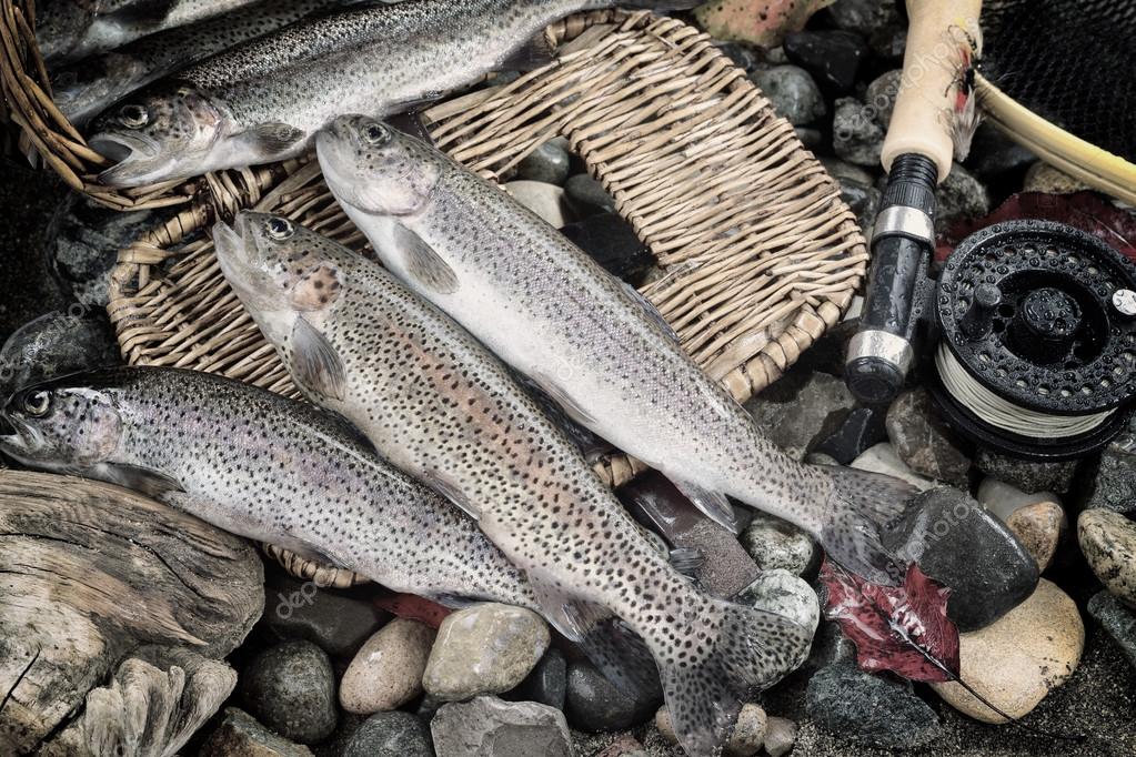 Trout fishing in vintage concept — Stock Photo © tab62 #69272935