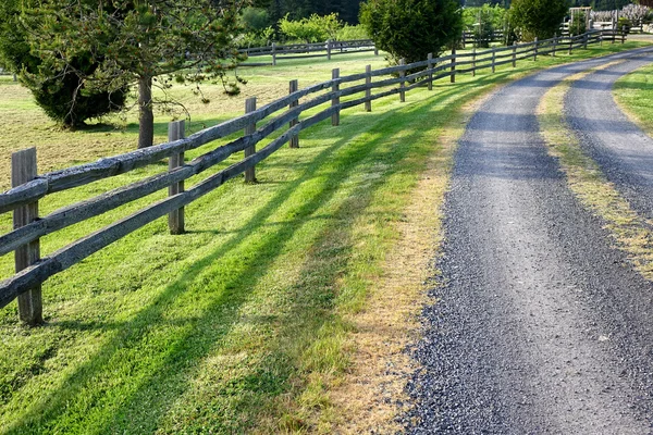 Camino del campo en buen día — Foto de Stock