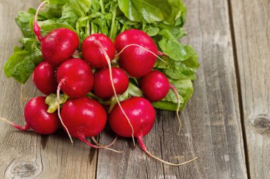 Büyük grup yaşlı ormanlık tablo taze turp