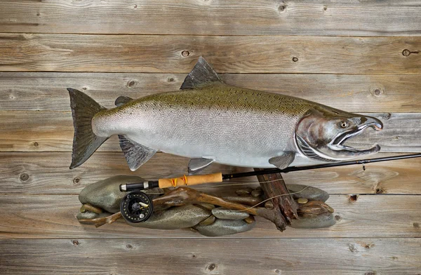 Trophy salmon with fishing gear on rustic wood — Stock Photo, Image