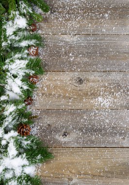 Rustik yeşil dallarda Noel sınır kar ile kaplı 