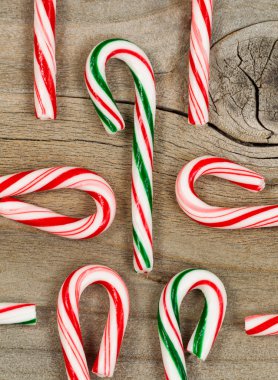 Rustik sedir ağacı Noel sezonu için şeker köpekler