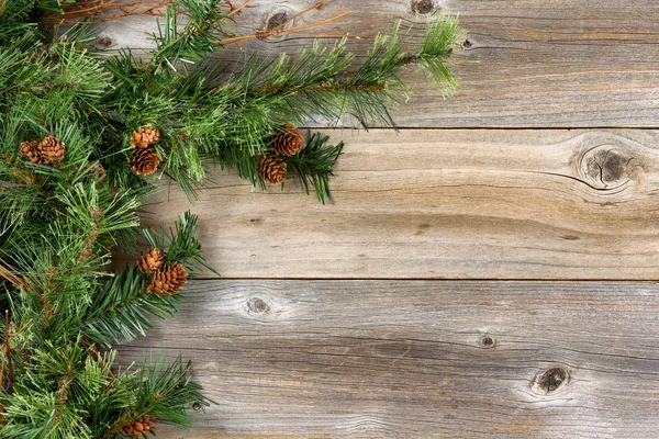 Ruwe Fir takken en kegels op rustieke houten planken — Stockfoto