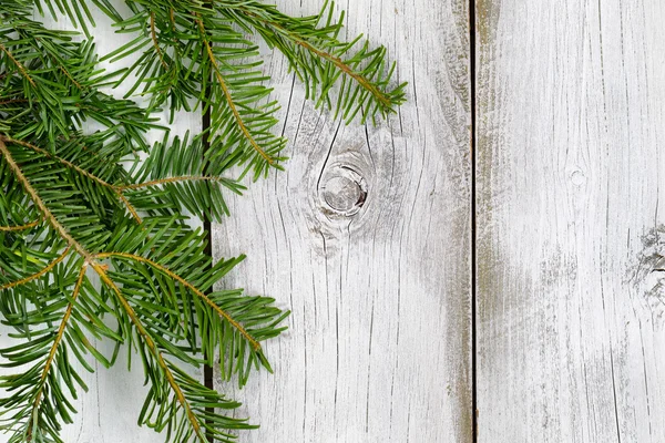 Branche de sapin sur des planches rustiques en bois blanc — Photo