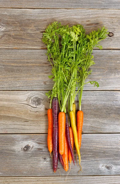 Rainbow carrots on rustic wooden boards — Stock Photo, Image