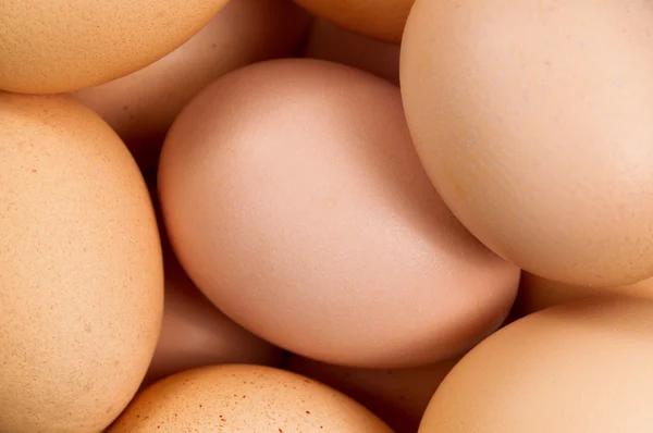 Органические коричневые яйца в формате рамы — стоковое фото