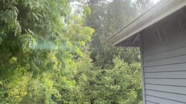 Yazın sonlarında 4k video formatında ev ve ağaçların olduğu evin dışında sağanak yağmur yağışıweather forecast 