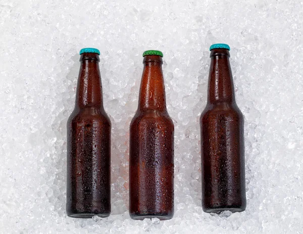 Flessen bier wordt gekoeld op stapel van ijs — Stockfoto