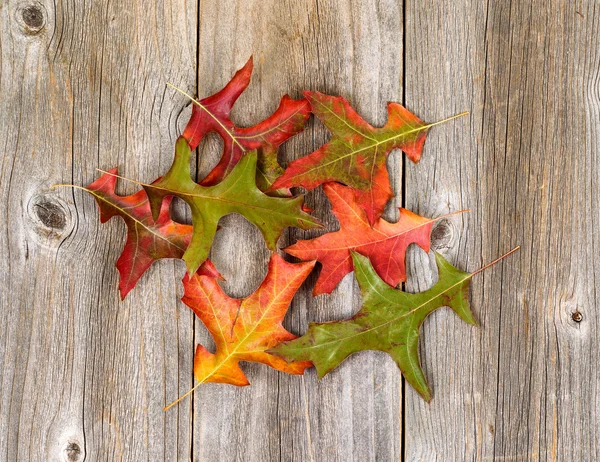 Осенние листья опадают на деревенских деревянных досках — стоковое фото