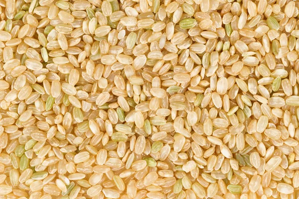 Uncooked organic brown rice — Stock Photo, Image