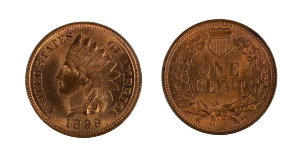 Zeer ingedeeld American Indian hoofd cent op witte achtergrond — Stockfoto