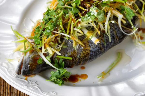 Gedünsteter Fisch und Garnierungen auf weißem Servierteller fertig zum Essen — Stockfoto