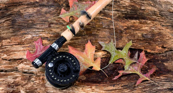 Carretel da pesca da mosca na árvore weathered velha molhada e nas folhas do outono — Fotografia de Stock