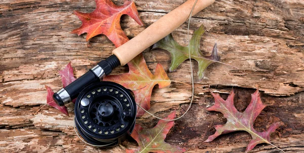 Fly fishing reel on dry old weathered tree and autumn leaves — Stock Photo, Image