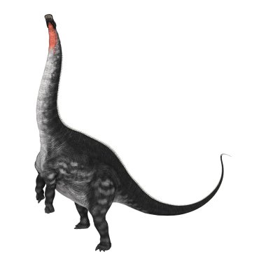 Dinozor Apatosaurus beyaz
