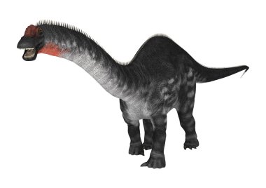 Dinozor Apatosaurus beyaz