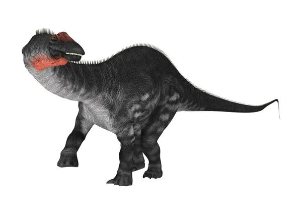 Dinosaurie Apatosaurus på vit — Stockfoto