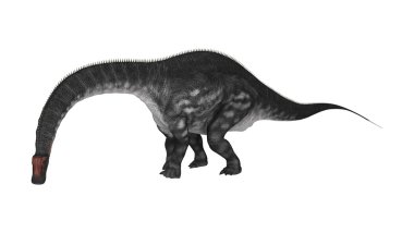 Dinozor Apatosaurus beyaz