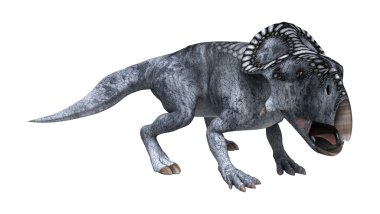 Dinozor Protoceratops beyaz