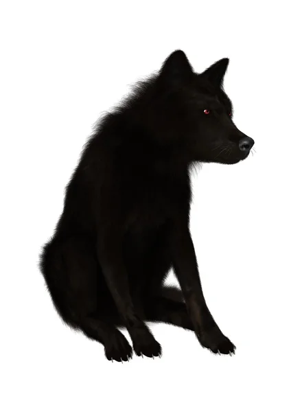 3D ілюстрація Чорний вовк на білому — стокове фото
