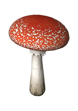 3D çizim sinek Agaric beyaz