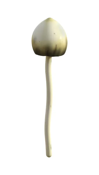Cogumelo mágico de ilustração 3D em branco — Fotografia de Stock
