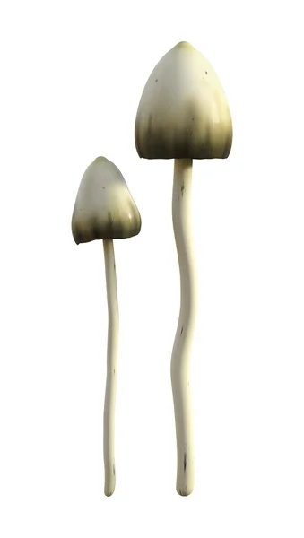 Cogumelos mágicos de ilustração 3D em branco — Fotografia de Stock
