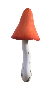 3D çizim mantar beyaz