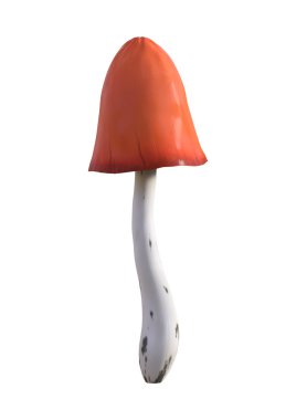 3D çizim mantar beyaz