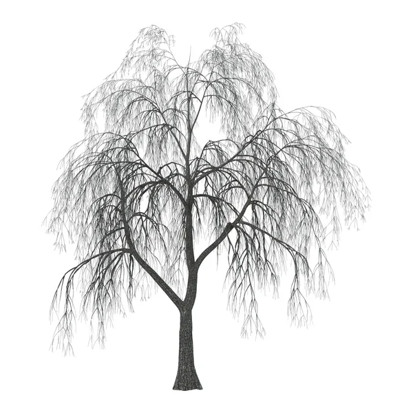 3d 插图柳树上的白色 — 图库照片