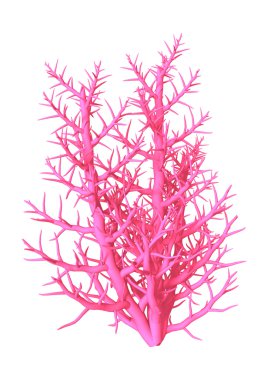 3D çizim mercan beyaz üzerine pembe