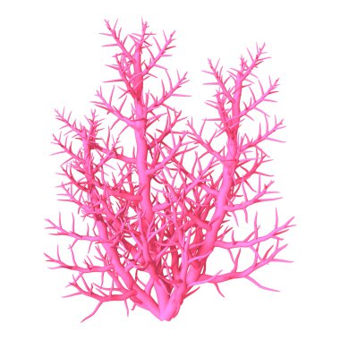 3D çizim mercan beyaz üzerine pembe