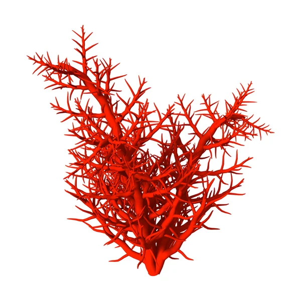 Красный коралл на белом — стоковое фото