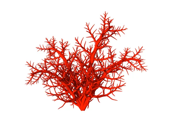3D illüstrasyon kırmızı beyaz mercan — Stok fotoğraf