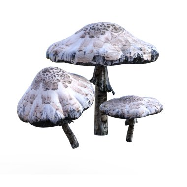 3D çizim mantar beyaz