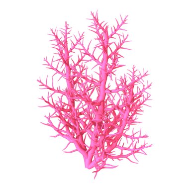 3D çizim mercan beyaz üzerine pembe