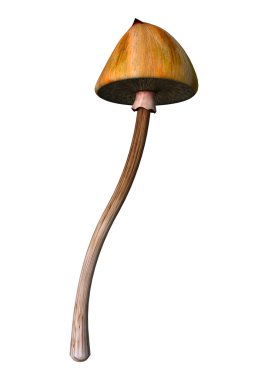 3D çizim sihirli mantar beyaz