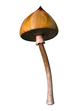 3D çizim sihirli mantar beyaz